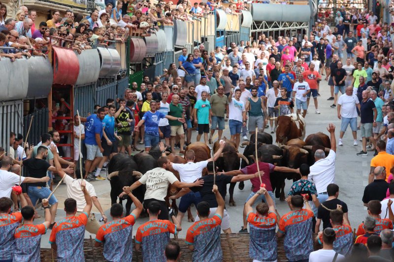 Els Coves s’enduu tots els premis del Concurs de Ramaderies de les Festes de Pedreguer Els Coves s’enduu tots els premis del Concurs de Ramaderies de les Festes de Pedreguer